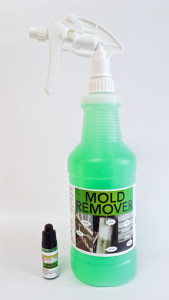 MOLD REMOVER
